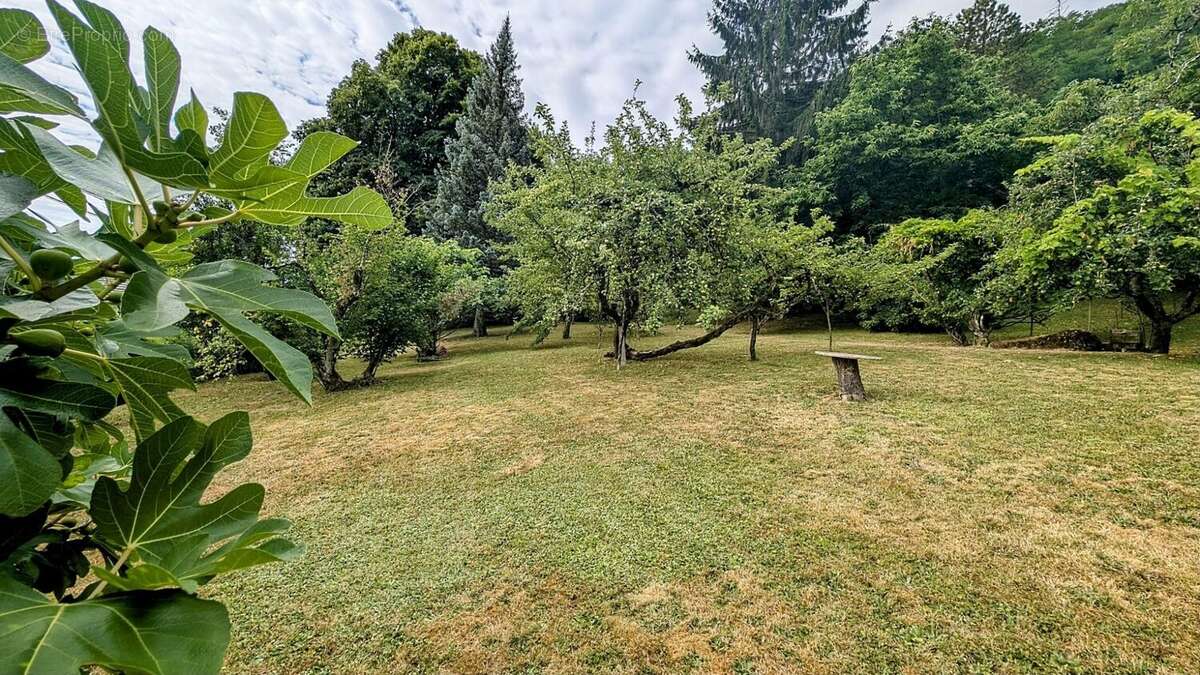 Terrain à MONNETIER-MORNEX