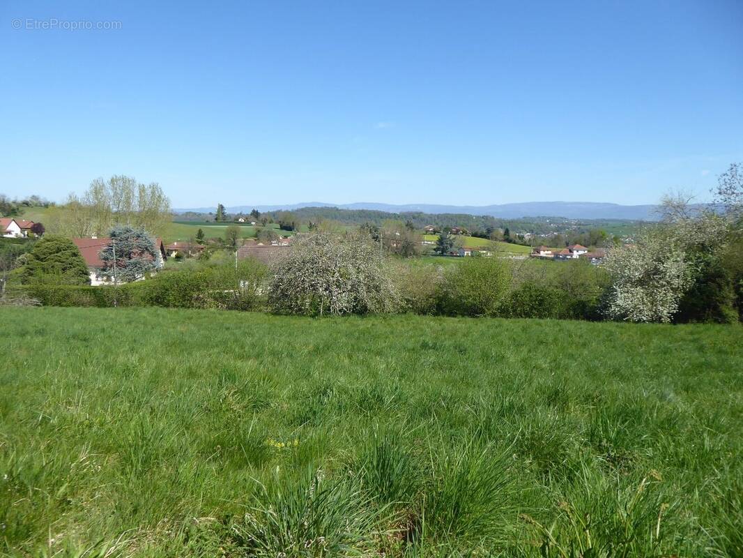 Terrain à SAINT-CHEF