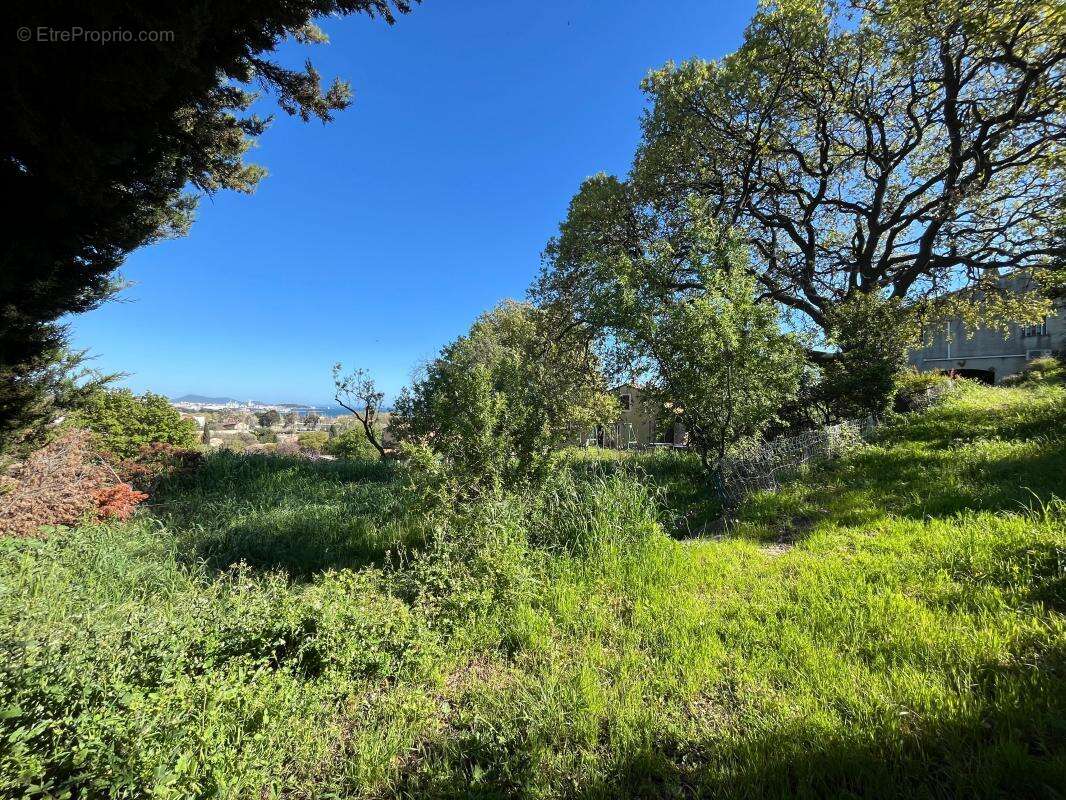 Terrain à OLLIOULES