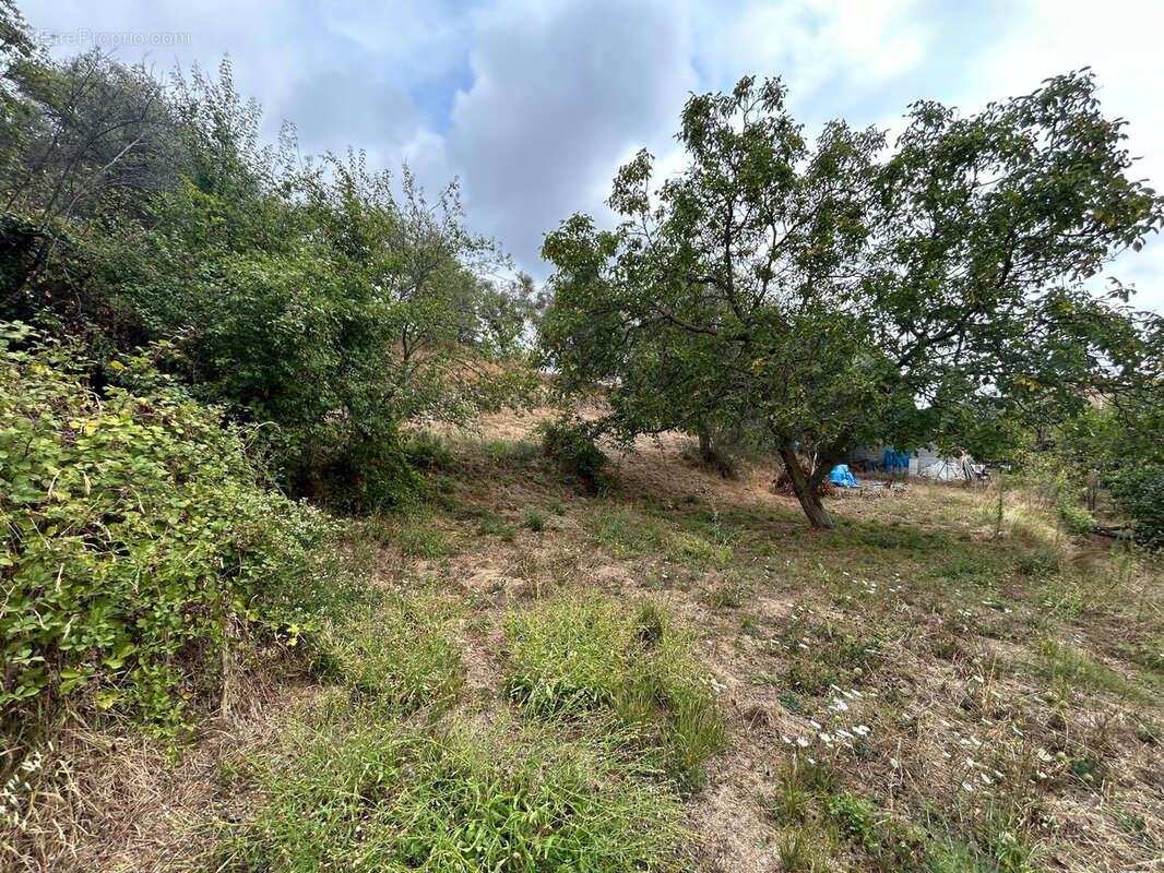 Terrain à BERRE-LES-ALPES