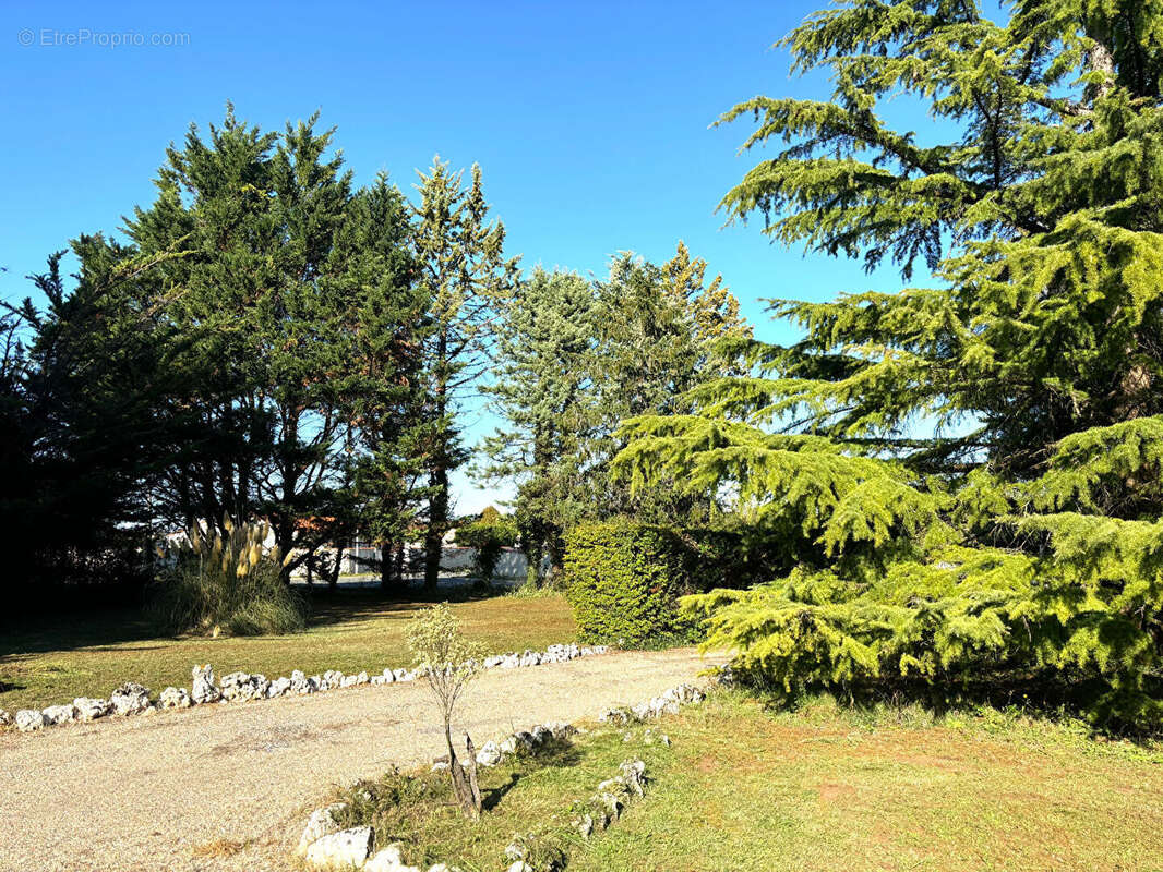 Maison à SAINT-SAVINIEN