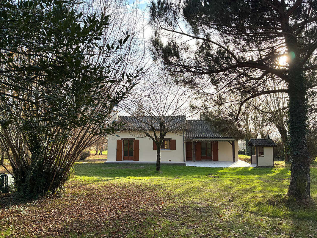 Maison à MONTASTRUC