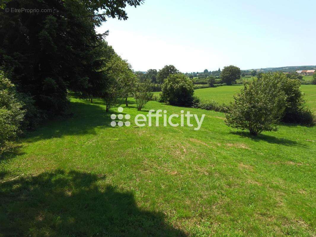 Maison à TOULON-SUR-ARROUX