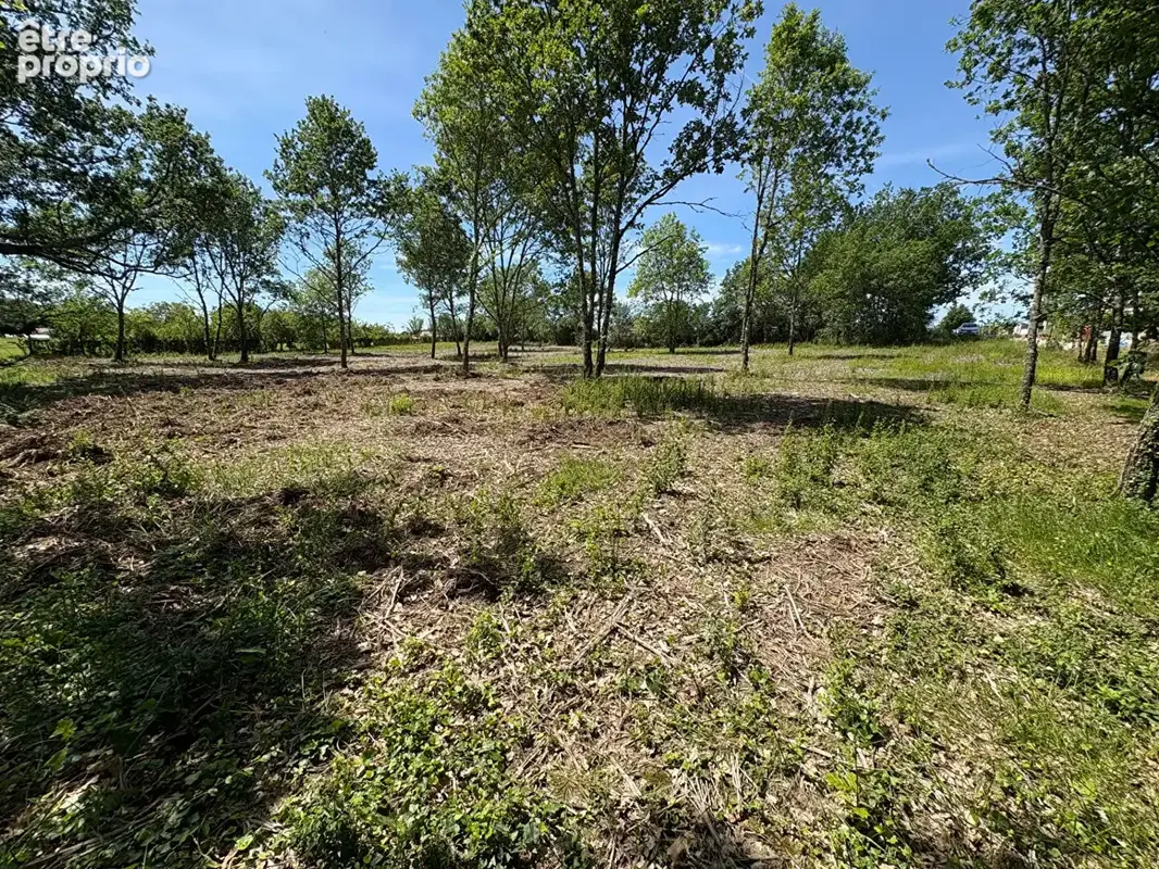 Terrain à LAFOX