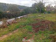 Terrain à LE THORONET