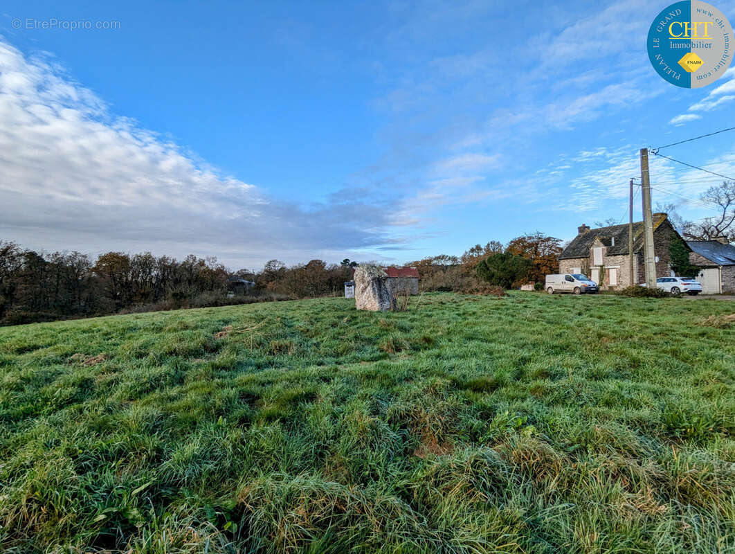 Terrain à MONTENEUF