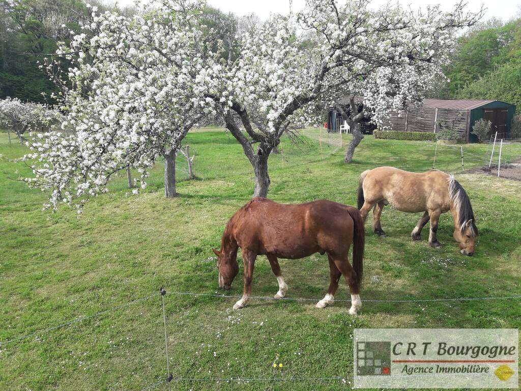 Maison à MOULINS-SUR-OUANNE