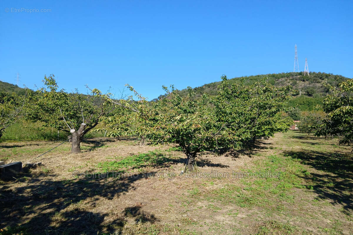 Terrain à CERET