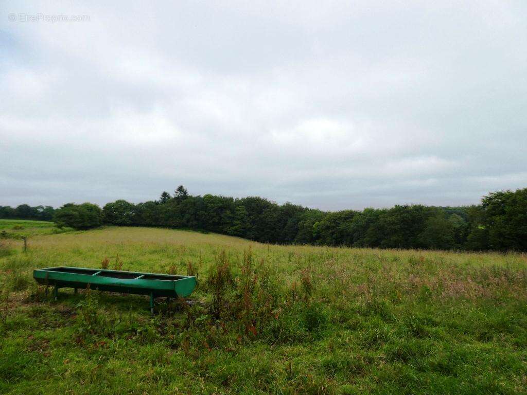 Terrain à PLOURAY
