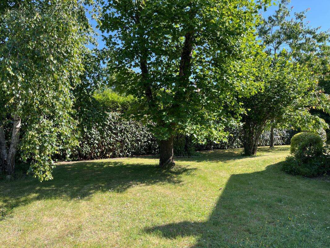 Maison à SAINT-DENIS-EN-VAL