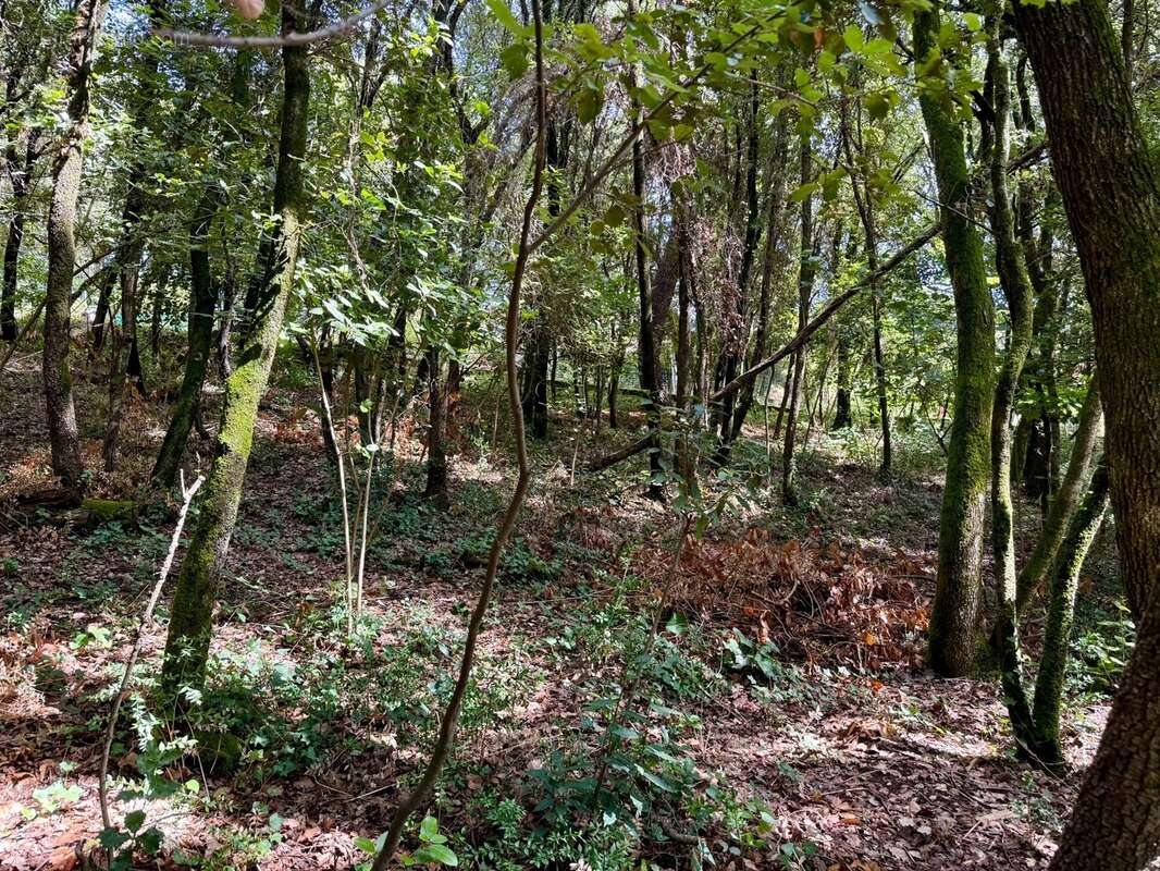 Terrain à bâtir à vendre 1032 m2  CENDRAS (30480) - photo 6