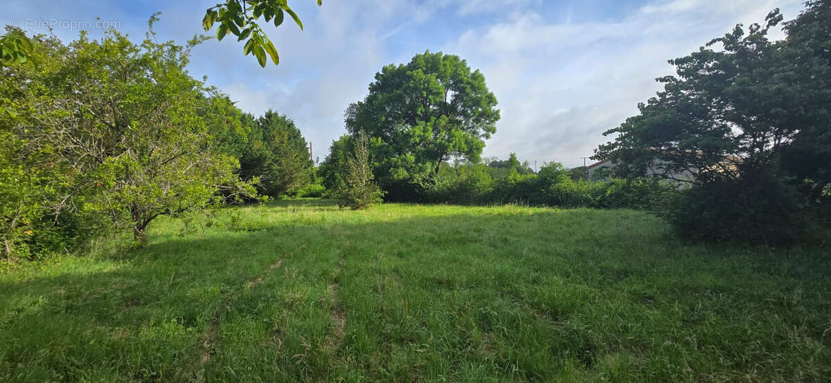 Terrain constructible 2 536 m2   Voulon, proche Vivonne - photo 5
