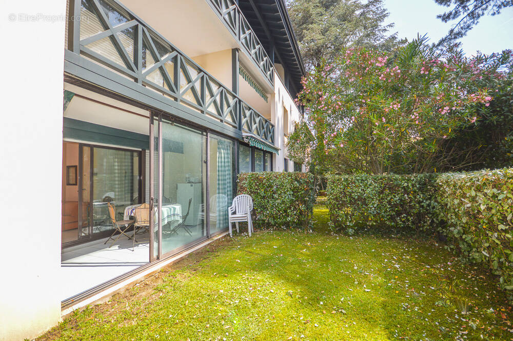 Appartement à CIBOURE