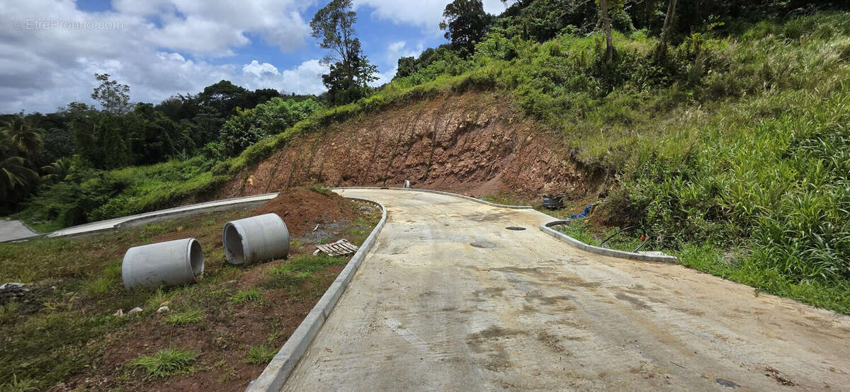 Terrain à SAINT-JOSEPH