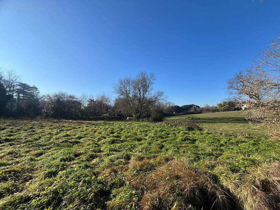 Terrain à SAINT-LOUBES