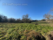 Terrain à SAINT-LOUBES