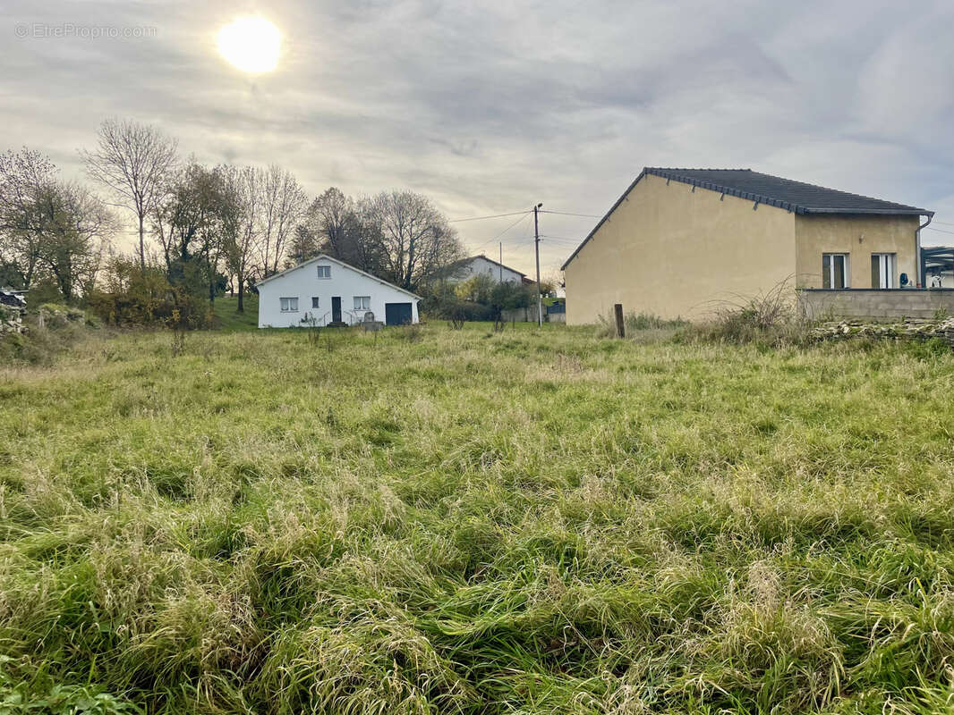 Terrain à COUSANCES-LES-TRICONVILLE
