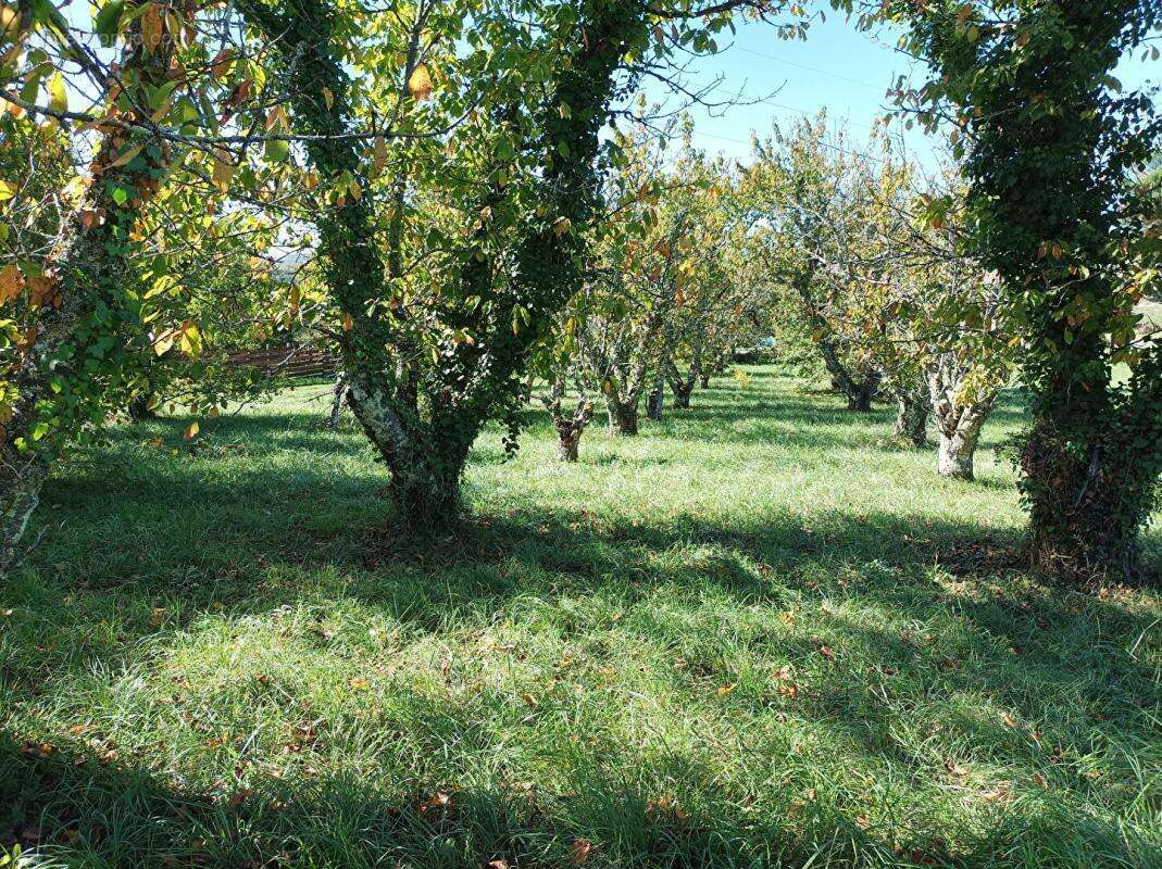 LUZECH .Terrain constructible à vendre - photo 7