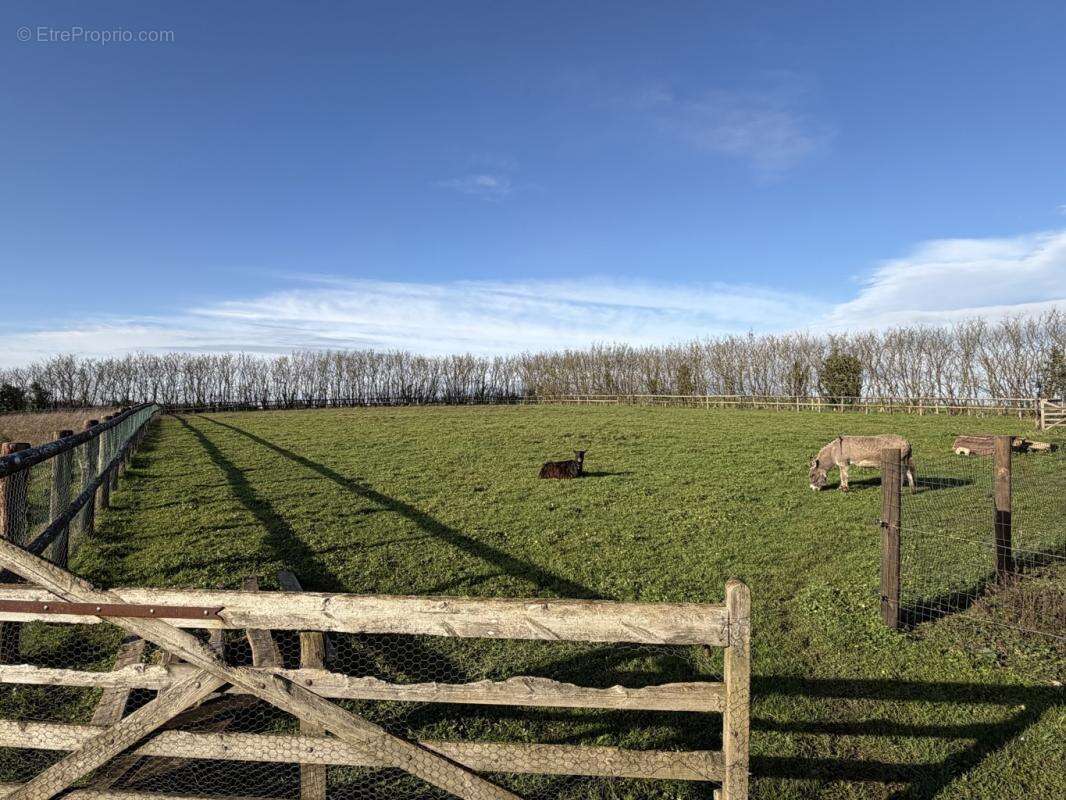 Maison à MAROLLETTE