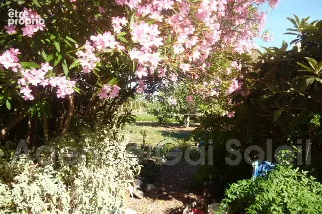 Maison 500 m² à Cazouls-Les-Beziers  - photo 3