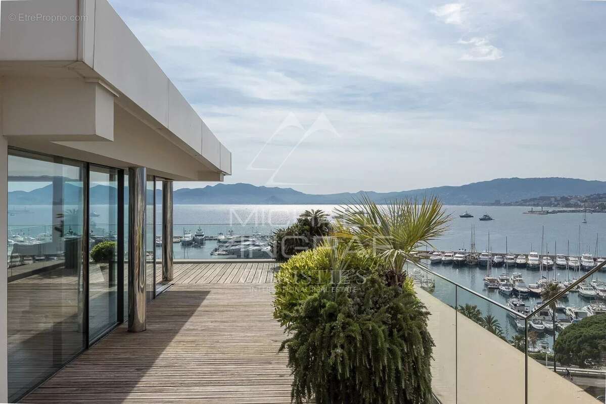 Cannes Croisette – Palm Beach – Penthouse d’exception avec vue mer panoramique - photo 5