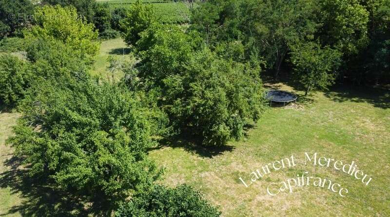 Maison à SAINT-ANDRE-DE-CUBZAC