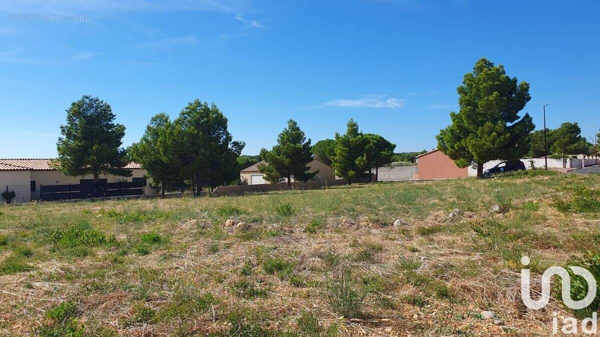 Photo 1 - Terrain à LA PALME