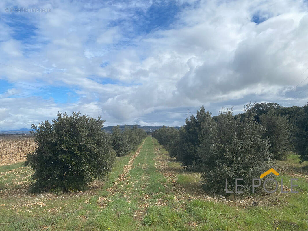 Terrain à SAINTE-CECILE-LES-VIGNES