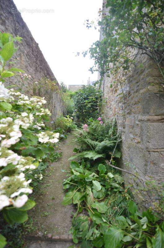 Maison hyper centre ville avec jardin - photo 13