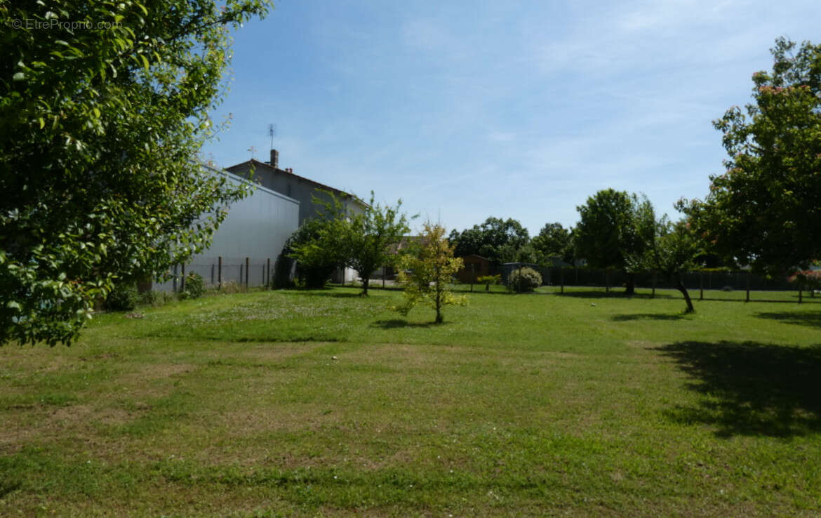 Terrain Medis 539 m2  au prix de 104200 - photo 2