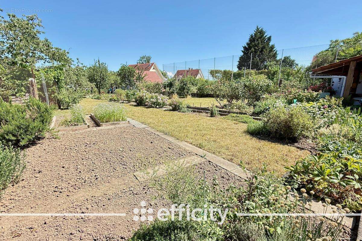 Maison 212 m² à Eichhoffen  - photo 2