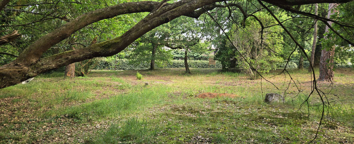 Terrain à ARCACHON