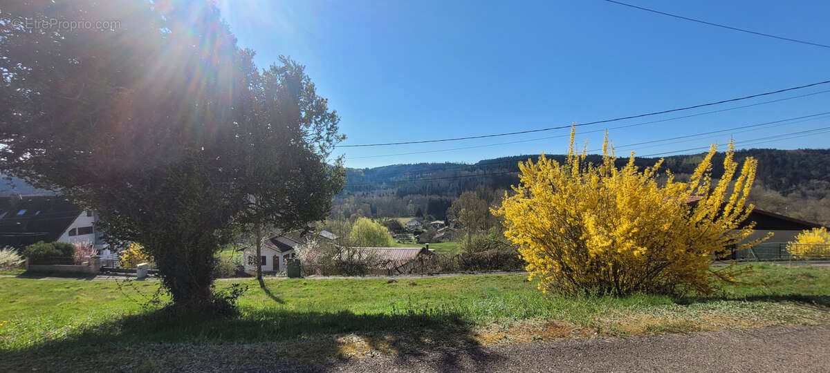 Terrain à MOYENMOUTIER