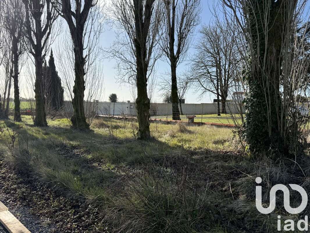 Photo 4 - Terrain à DOMPIERRE-SUR-MER