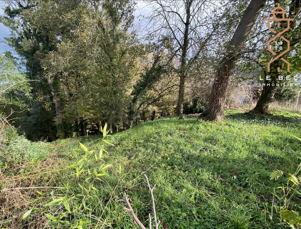 Terrain à SAINT-AVE