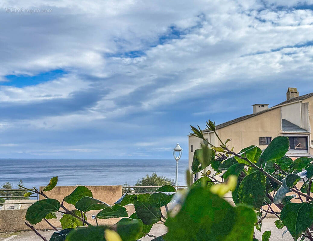 Appartement à SAN-MARTINO-DI-LOTA