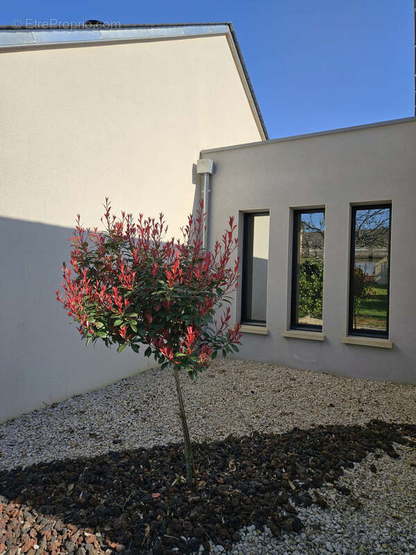 Maison à VALADY