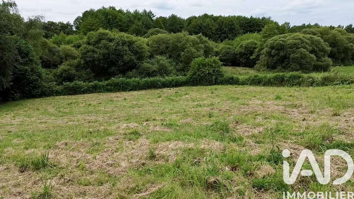 Photo 2 - Terrain à LIMOGES