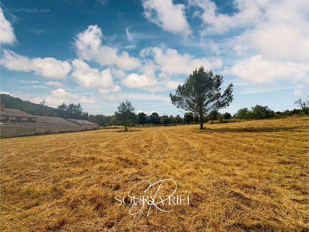 Terrain à VILLENEUVE-MINERVOIS