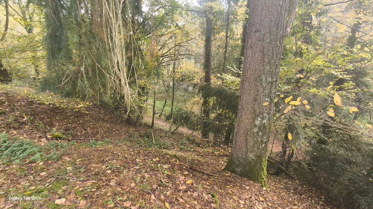 Maison à SAINT-VITTE-SUR-BRIANCE
