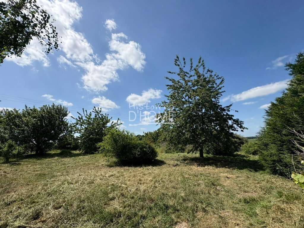 Maison à LA FERTE-GAUCHER