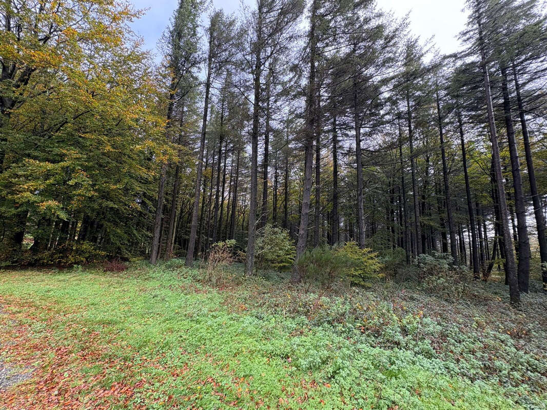 Maison à CASSAGNOLES