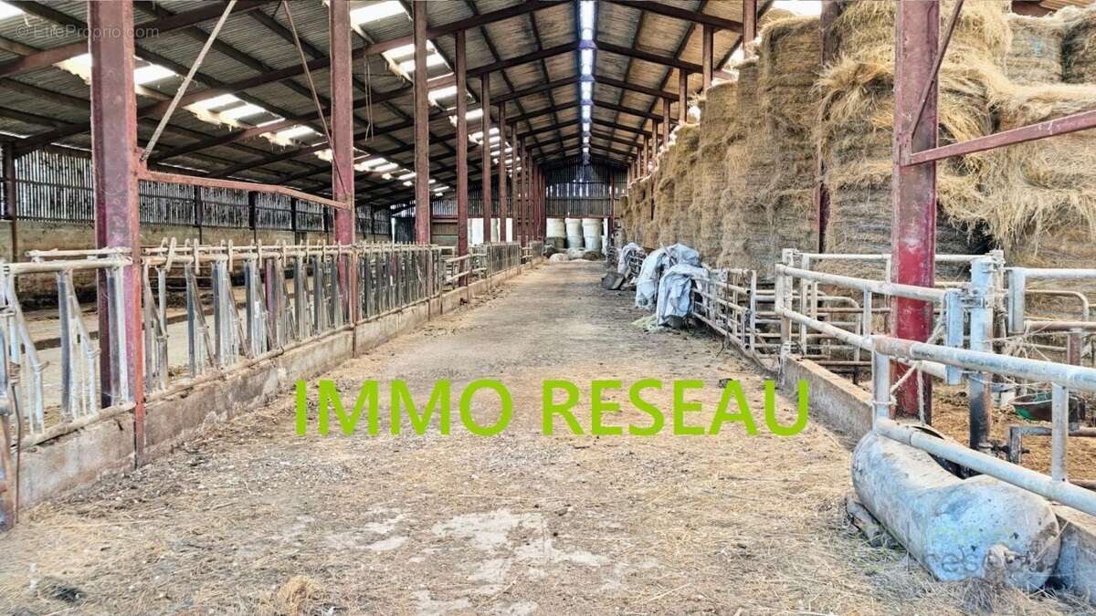 Commerce 5500 m² à Saint-Hilaire-De-Riez  - photo 8