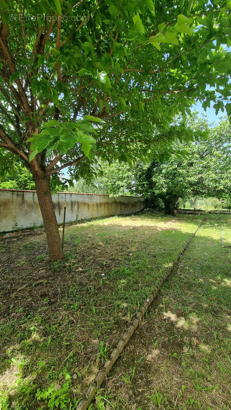 Maison à L&#039;ISLE-EN-DODON