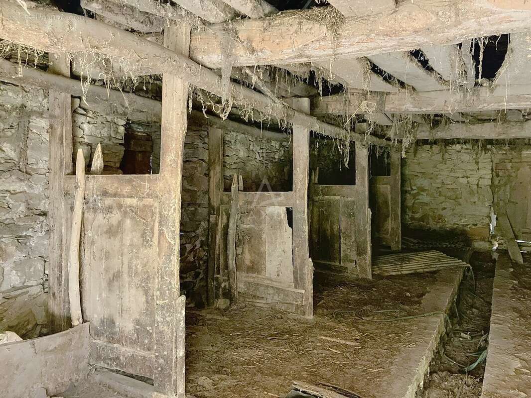 Grange en surplomb du Bourrinquets, Arbéost, en Val d'Azun - photo 6