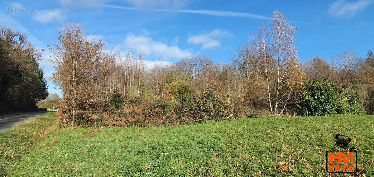 Terrain à LADIGNAC-LE-LONG
