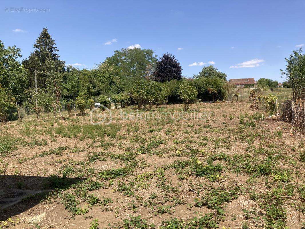 Maison Village - photo 3