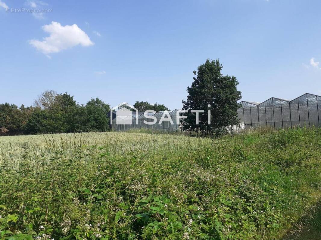 Commerce 30176 m² à Noyal-Chatillon-Sur-Seiche  - photo 1