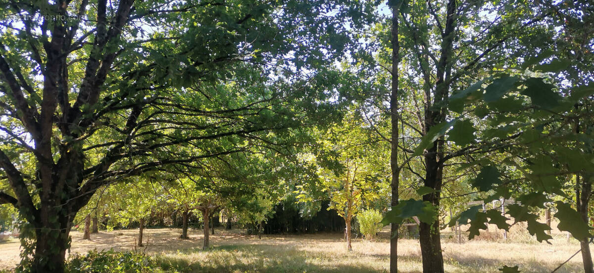 Terrain à NEGREPELISSE