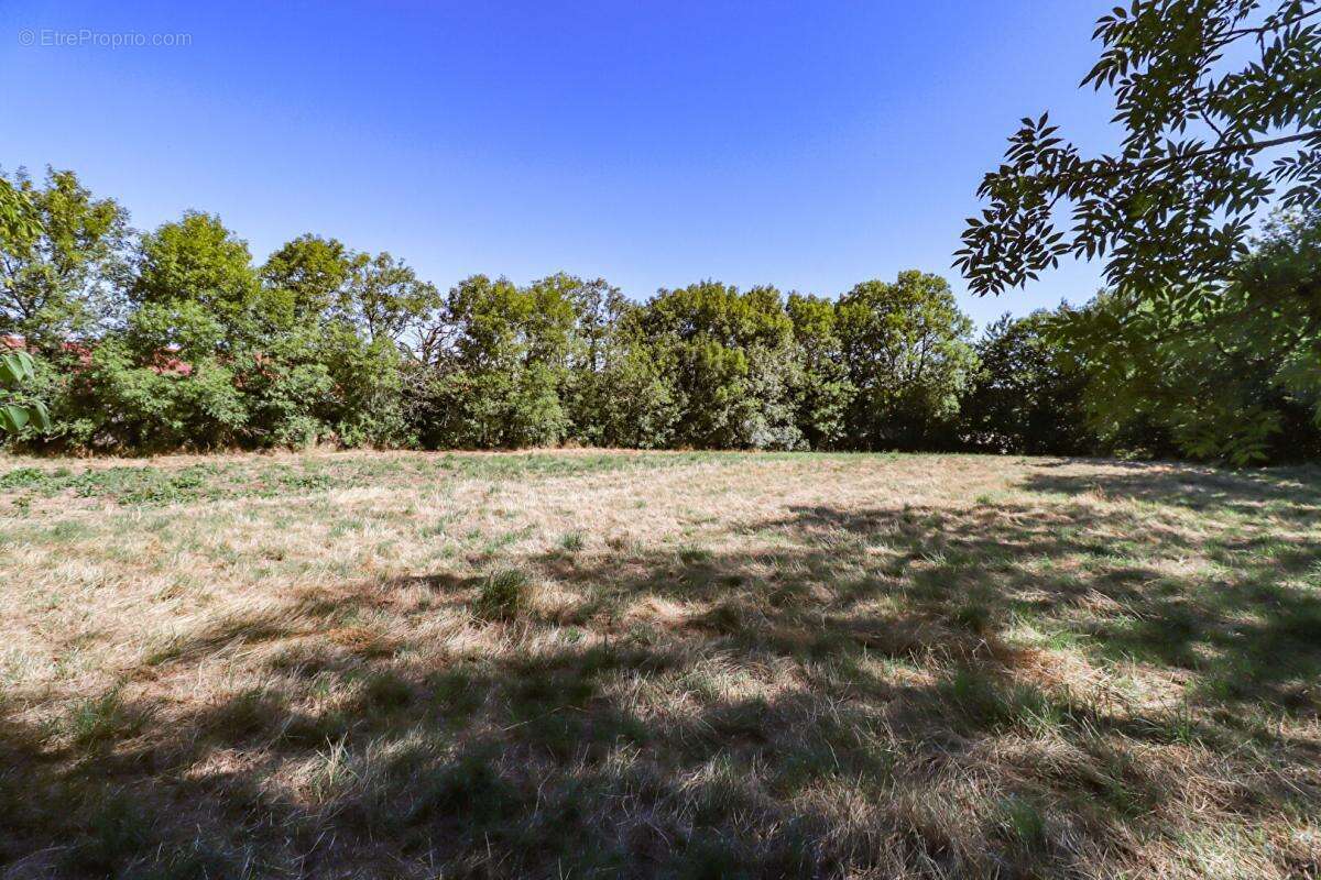 Terrain à LACAZE